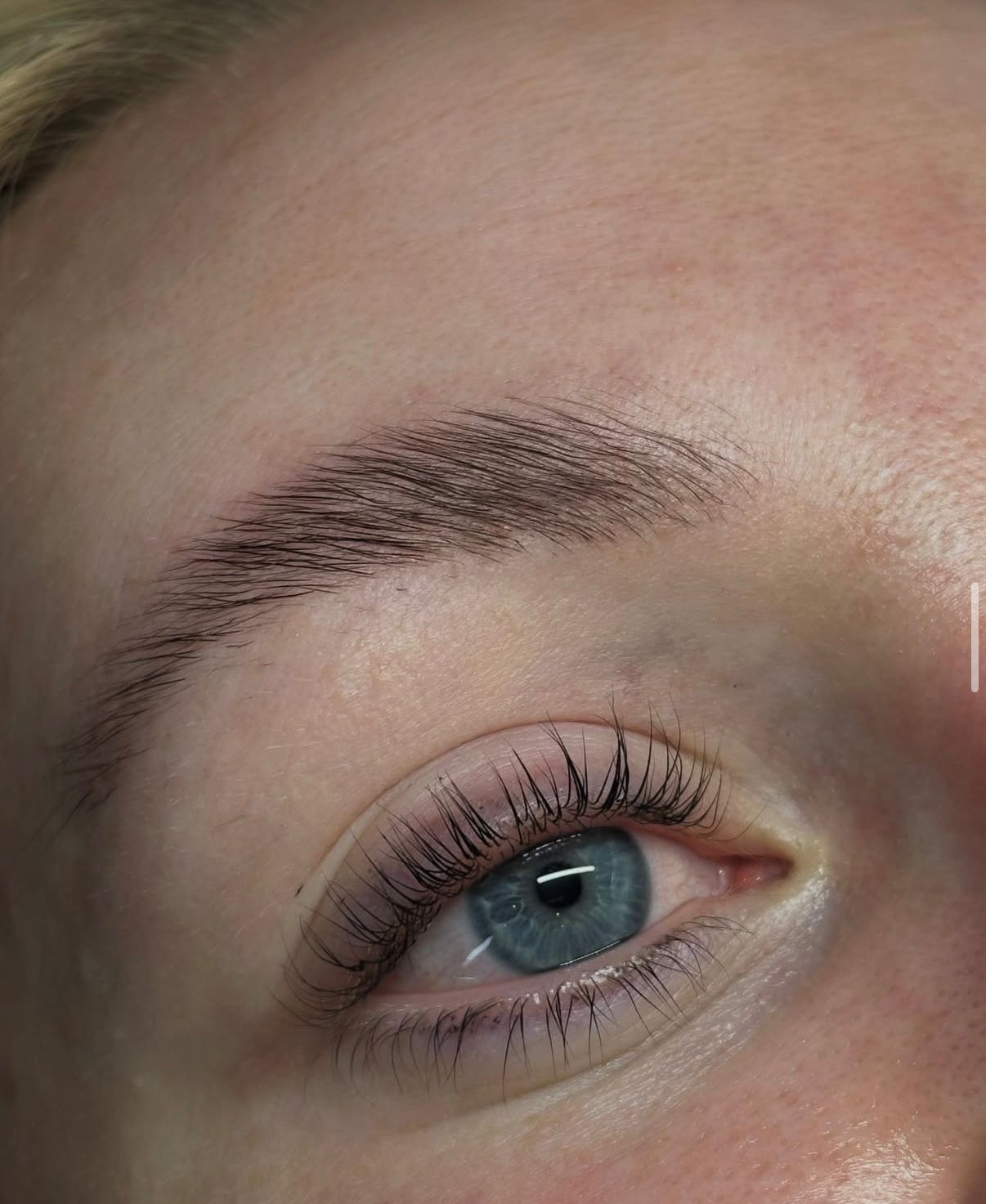Lash Browlift Ergebnis